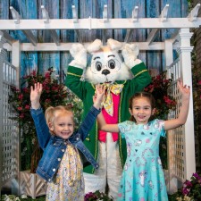 Free Photos with the Easter Bunny!
