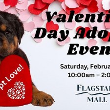 High Country Humane February Valentine's Adoption Event