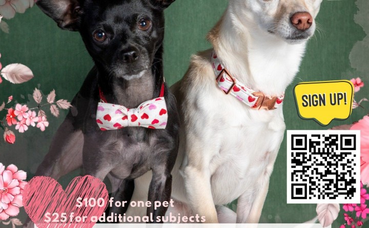 ValenTails Pet Portrait Fundraiser