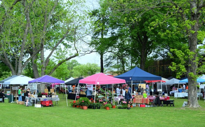 East Flagstaff Community Market Outdoor Event
